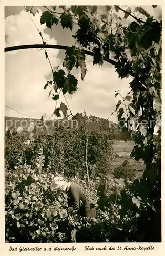 AK / Ansichtskarte Bad_Gleisweiler Blick nach der St Anna Kapelle Weinlese Bad_Gleisweiler