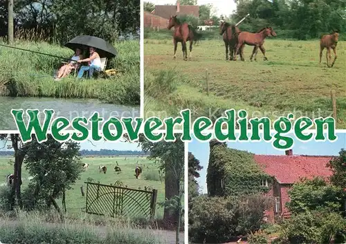 AK / Ansichtskarte Westoverledingen Angler Pferde Westoverledingen