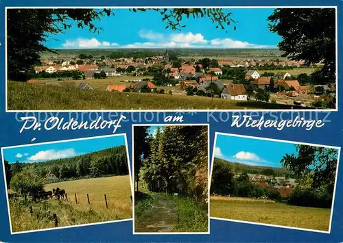 AK / Ansichtskarte Oldendorf_Celle Wiehengebirge Pferde Oldendorf_Celle