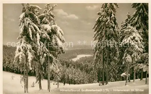 AK / Ansichtskarte Grossbreitenbach_Thueringen Hirtenwiesen im Winter Grossbreitenbach