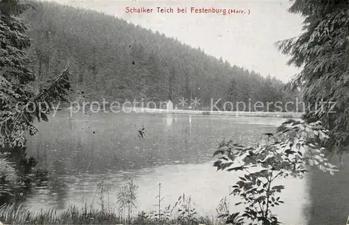 AK / Ansichtskarte Festenburg_Clausthal Zellerfeld Schalker Teich Festenburg