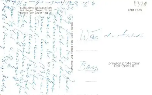 Regen Burgruine Weissenstein mit Arber Regen