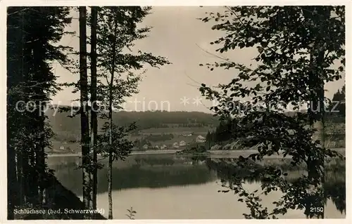 Schluchsee Panorama Schluchsee