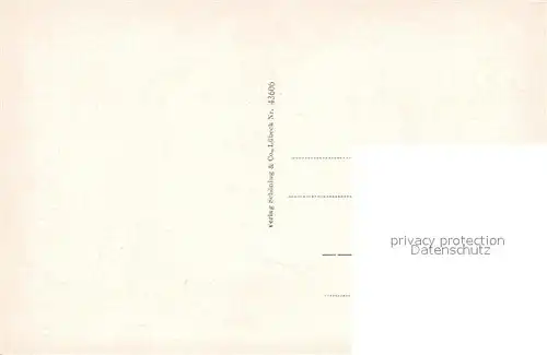 Titisee Seeterrasse vom Hotel Titisee Titisee