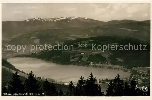 Titisee Panorama Titisee