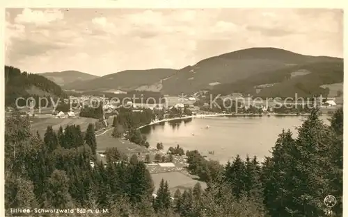 Titisee Panorama Titisee
