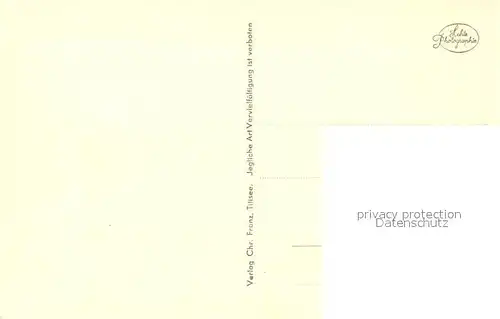 Titisee Panorama Titisee