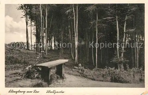 Klingberg Waldpartie Klingberg