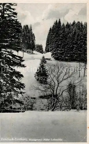 Tambach Dietharz Waldgrund Naehe Lohmuehle Tambach Dietharz