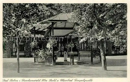 Bad_Steben Frankenwald Stahl und Moorbad Tempelquelle Bad_Steben