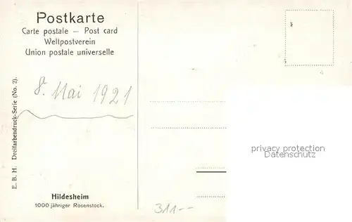 Hildesheim 1000jaehriger Rosenstock Kuenstlerkarte Hildesheim