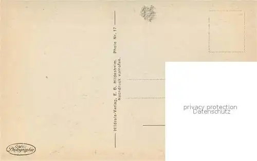 Hildesheim Marktplatz Fachwerkhaeuser Altstadt Brunnen Hildesheim