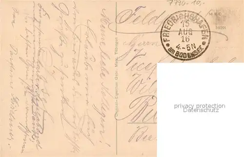 Friedrichshafen_Bodensee Alpenpanorama aus der Vogelperspektive Friedrichshafen Bodensee