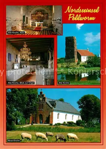 AK / Ansichtskarte Pellworm Kirche Orgel Altar Schafe Pellworm
