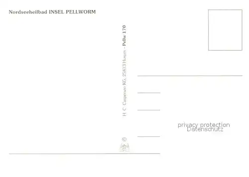 AK / Ansichtskarte Pellworm Kirche Orgel Altar Schafe Pellworm