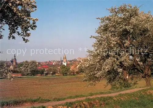 AK / Ansichtskarte Eisleben Blick von Osten Eisleben