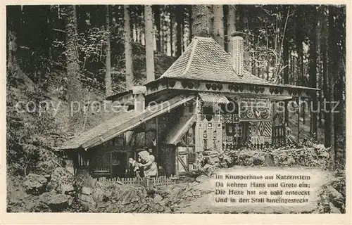 AK / Ansichtskarte Bad_Sachsa_Harz Hexenhaeuschen im Katzental Bad_Sachsa_Harz