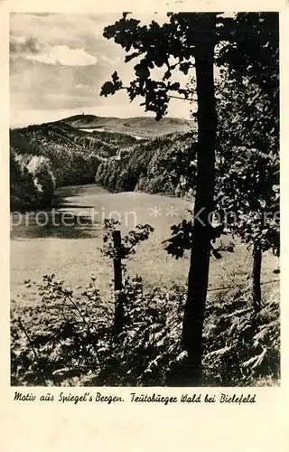 AK / Ansichtskarte Teutoburgerwald Motiv aus Spiegels Bergen Teutoburgerwald