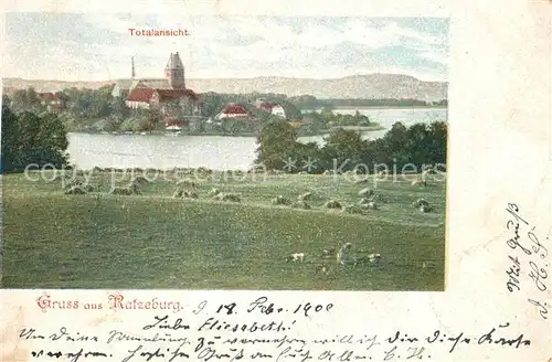 AK / Ansichtskarte Ratzeburg Panorama Kirche Ratzeburg