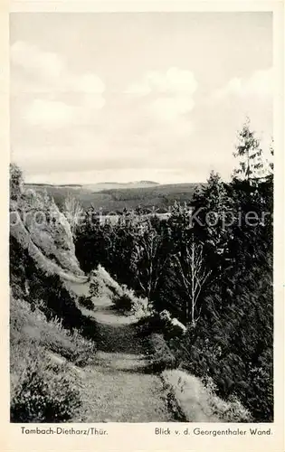 AK / Ansichtskarte Tambach Dietharz Landschaftspanorama Blick von der Georgenthaler Wand Tambach Dietharz