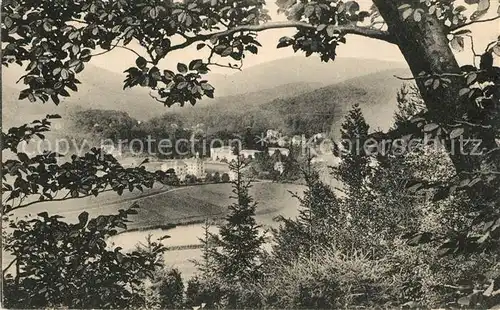 AK / Ansichtskarte Bad_Thal_Ruhla Panorama Blick ins Tal Bad_Thal_Ruhla