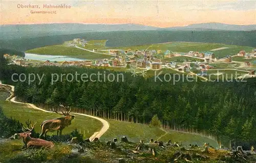 AK / Ansichtskarte Hahnenklee Bockswiese_Harz Gesamtansicht Landschaftspanorama Hirsche Hahnenklee Bockswiese