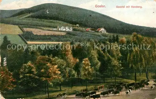 AK / Ansichtskarte Goslar Landschaftspanorama Gosetal mit Herzberg Kuhherde Goslar