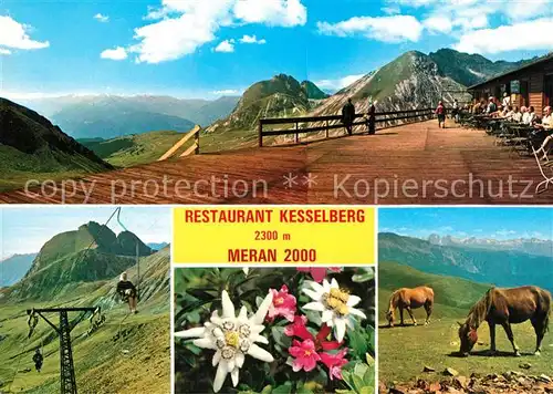 AK / Ansichtskarte Meran_Merano Restaurant Kesselberg Pferdekoppel Sessellift Meran Merano