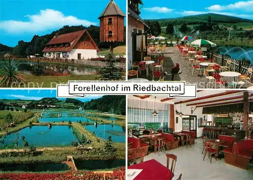 AK / Ansichtskarte Hilgershausen_Witzenhausen Forellenhof im Riedbachtal Terrasse Gastraum Forellenteiche Hilgershausen
