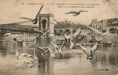 AK / Ansichtskarte Vienne_Isere Pont suspendu de Sainte Colombe et les Mouettes Pipet et la Cathedrale Saint Maurice Vienne Isere