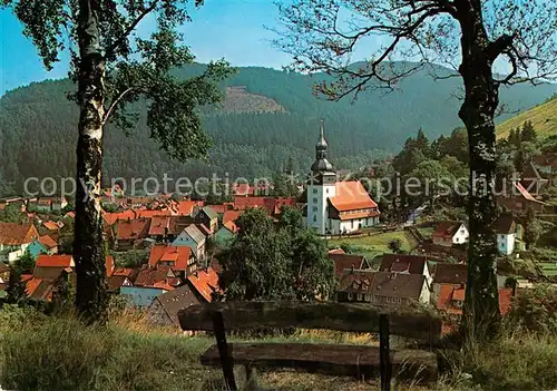 AK / Ansichtskarte Lautenthal_Harz Kirchenpartie Lautenthal Harz