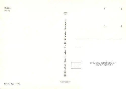 AK / Ansichtskarte Bugac Rinder und Schafherden  Bugac