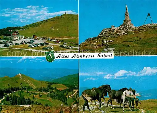 AK / Ansichtskarte Salla Altes Almhaus Pferde Gaberl Salla