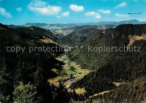 AK / Ansichtskarte Feldberg_Schwarzwald Panorama Blick ins Wiesental Feldberg Schwarzwald