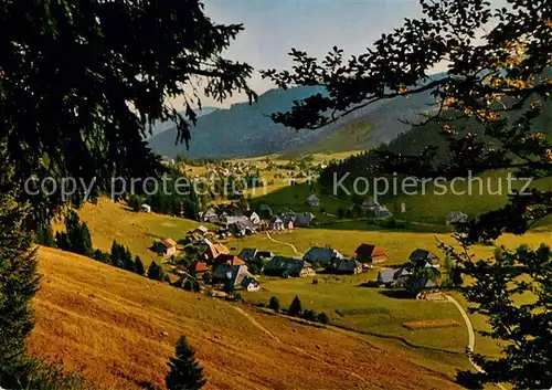 AK / Ansichtskarte Menzenschwand Panorama Luftkurort im Schwarzwald Menzenschwand