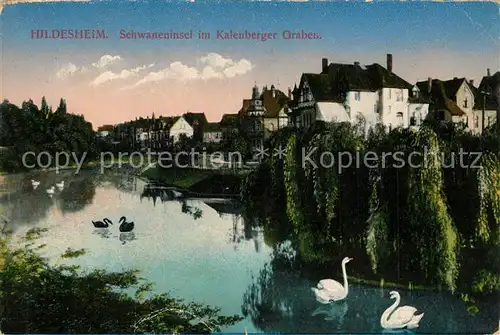 AK / Ansichtskarte Hildesheim Schwaneninsel im Kalenberger Graben Hildesheim