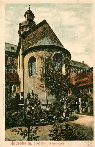 AK / Ansichtskarte Hildesheim 1000jaehriger Rosenstock Friedhof Mariendom Hildesheim
