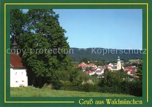 AK / Ansichtskarte Waldmuenchen  Waldmuenchen