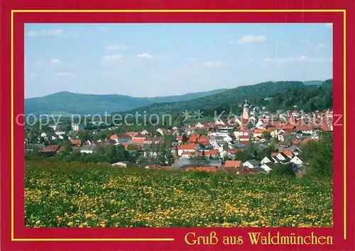 AK / Ansichtskarte Waldmuenchen Naturpark Oberer Bayerischer Wald Waldmuenchen