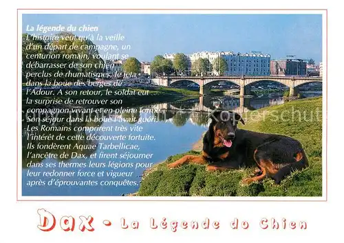 AK / Ansichtskarte Dax_Landes et l Adour la legende du Chien Dax_Landes