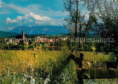 AK / Ansichtskarte Teisendorf_Oberbayern Blick ueber die Wiesen zum Ort Alpen Teisendorf Oberbayern