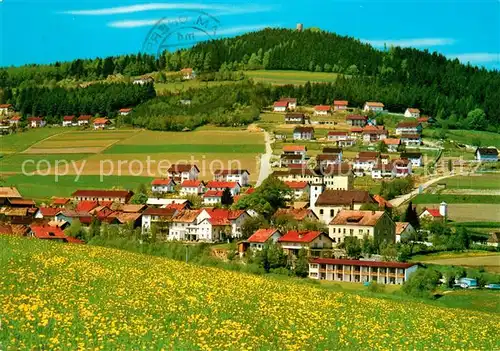 AK / Ansichtskarte Rimbach_Bayrischer_Wald Burg Lichtenegg Rimbach_Bayrischer_Wald