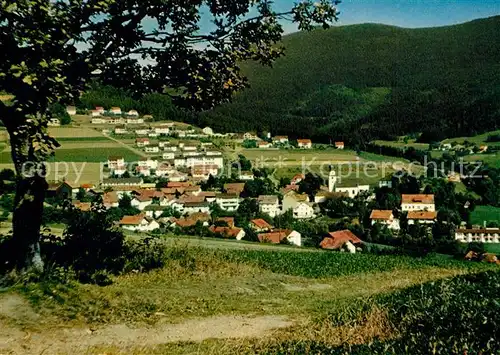 AK / Ansichtskarte Rimbach_Bayrischer_Wald  Rimbach_Bayrischer_Wald