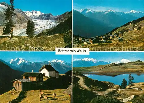 AK / Ansichtskarte Bettmeralp_VS Panoramen Bettmeralp VS