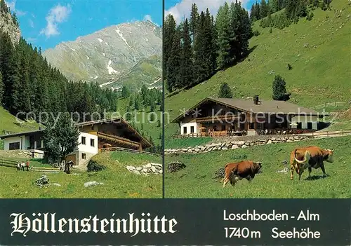 AK / Ansichtskarte Lanersbach Hoellensteinhuette Alm Kuehe Lanersbach