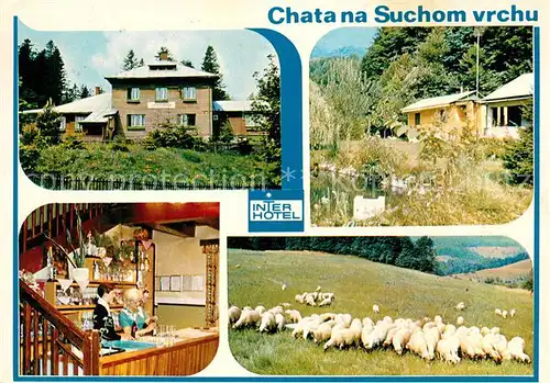 AK / Ansichtskarte Chata_Tschechien Suchom vrch Schafe Interhotel  Chata Tschechien