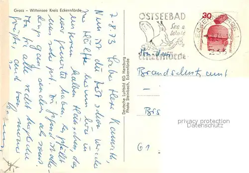 AK / Ansichtskarte Gross_Wittensee Fliegeraufnahme Gross Wittensee