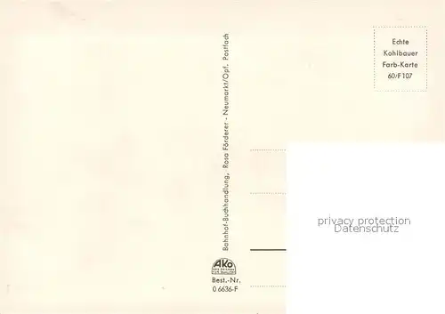 AK / Ansichtskarte Neumarkt_Oberpfalz Kirche Panorama Markt Ruine Wolfstein Hauptstrasse Neumarkt Oberpfalz