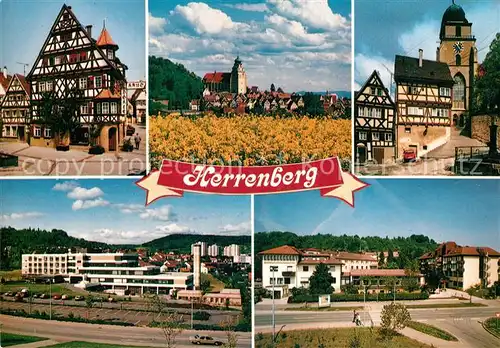 AK / Ansichtskarte Herrenberg_Wuerttemberg Fachwerk Kirche Panorama Herrenberg Wuerttemberg