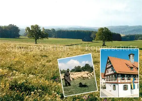 AK / Ansichtskarte Laichingen Alblandschaft mit Altem Rathaus und Schaefer Laichingen